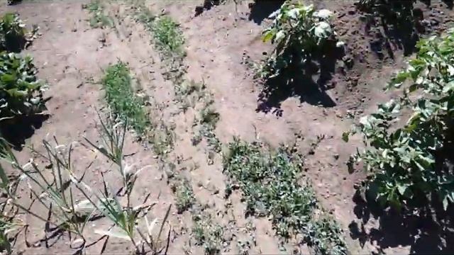 НОЧЬ В СТРАШНОЙ ЛАБОРАТОРИИ...___ЖУТКИЙ ЭКСПЕРИМЕНТ___ смотреть онлайн