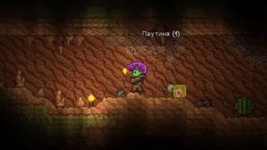 монвер играет в TERRARIA (нарезочка)