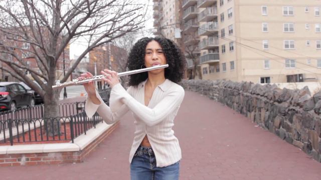 Boy's a Liar- PinkPantheress FLUTE Cover смотреть онлайн