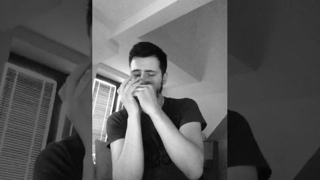 Dark Eyes - chromatic harmonica смотреть онлайн