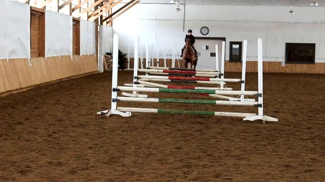 Cheval action blog/ partie 3 gymnastique vue de face смотреть онлайн