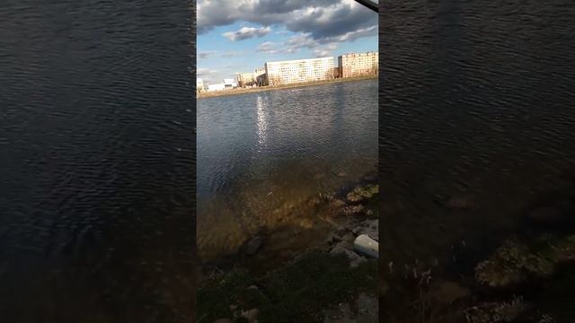 Рыбалка на спиннинг в витебске"Пруд Бегемот" смотреть онлайн