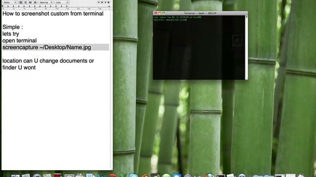 Screenshot From Terminal MAC Apple 