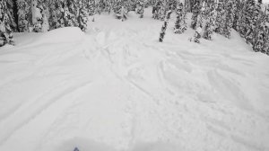 Polaris 9R vs. Boost // Head to Head Comparison