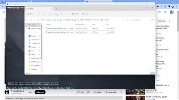 someone help fluffy mod manager 5000