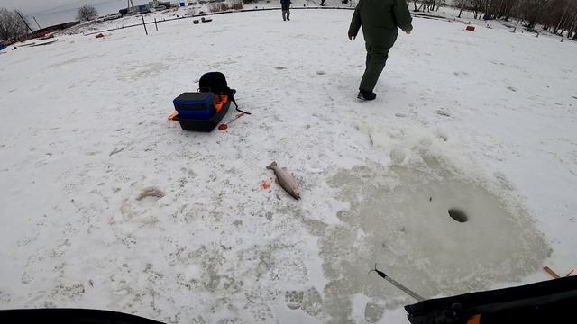 Ловля форели зимой на платнике Юсупово смотреть онлайн