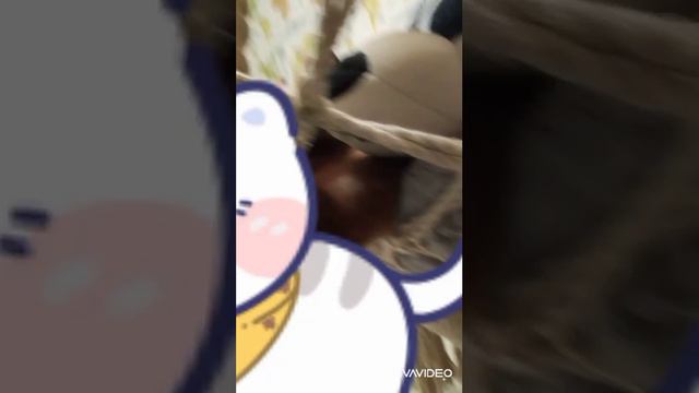 Мияяяяяяяу!!!!!!! 🙀 смотреть онлайн