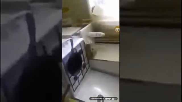 Смотрю что будет если в кипяченое масло вылить стакан воды смотреть онлайн