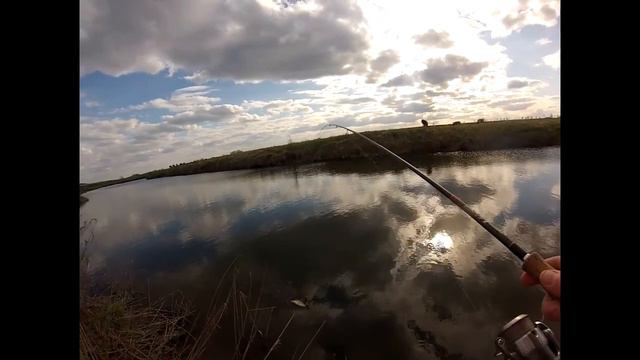 Щука на малой речке в конце апреля. смотреть онлайн