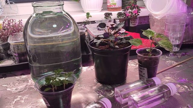 Самые захватывающие песни