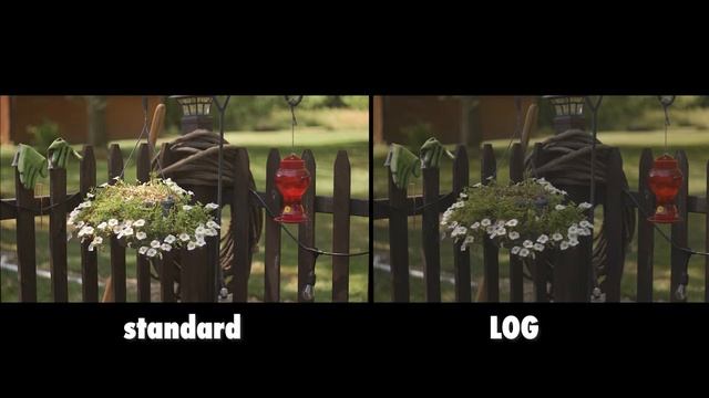 The Canon C100 in 25 Minutes! смотреть онлайн