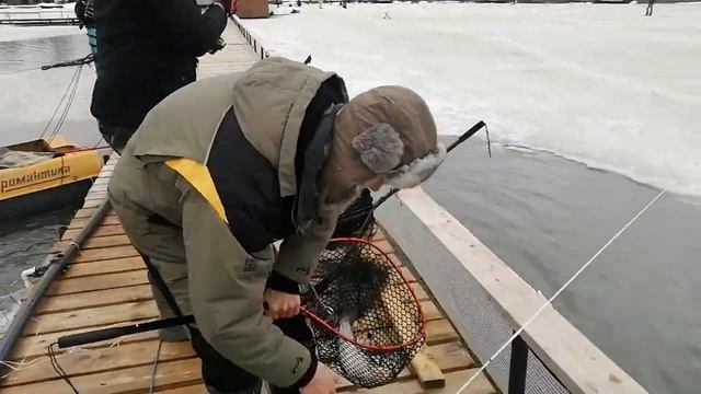 Камеру можно не включать! смотреть онлайн