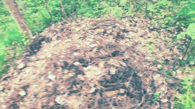 Нашли старую нефтяную скважину смотреть онлайн