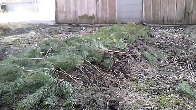 Делаем грядку из мусора смотреть онлайн
