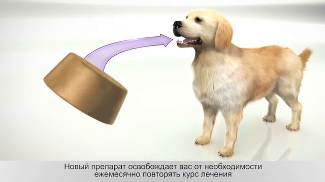 Бравекто смотреть онлайн