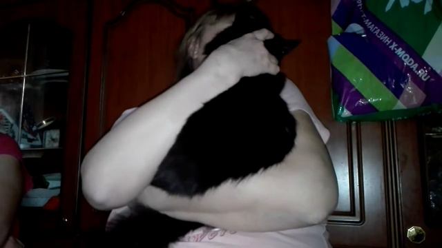 Кот - сосун смотреть онлайн