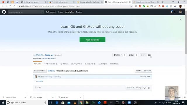Big Cat Classifier | fastai Project Lesson 1 | Deployed in Python Tkinter | Deep Learning смотреть онлайн