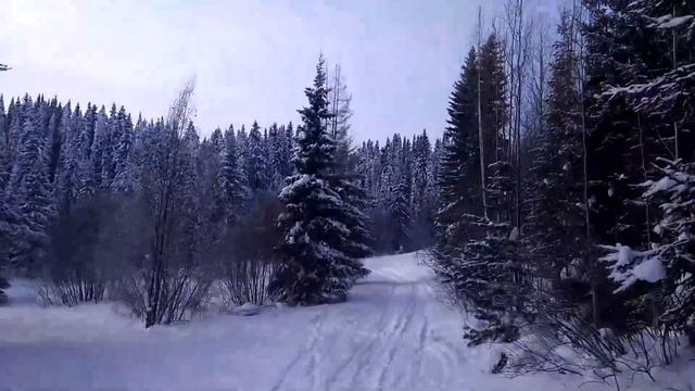 Природа Сибири. Русский Север. Ханты-Мансийск смотреть онлайн