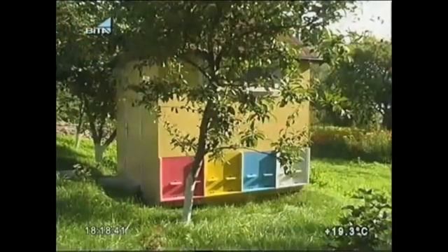 Сон на пчелах смотреть онлайн