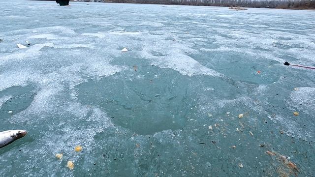 Рыбалка на поплавок 17 марта 2023!Это полный писец Сколько здесь Рыбы! смотреть онлайн