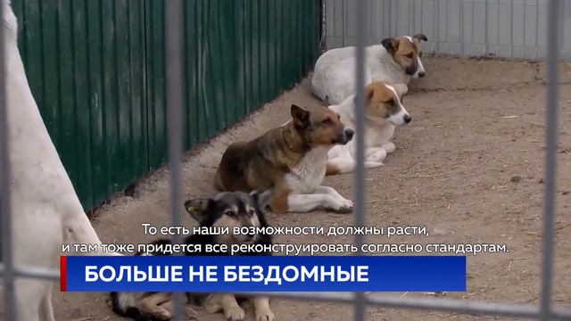 БОЛЬШЕ НЕ БЕЗДОМНЫЕ смотреть онлайн