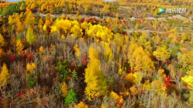 Scenic Spot of Daocheng Yading смотреть онлайн