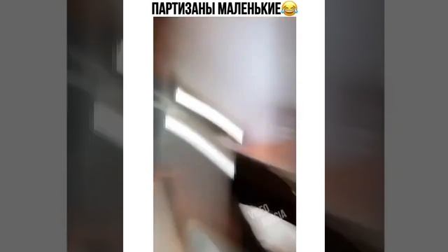 Сидят два тетерева на дереве ? смотреть онлайн