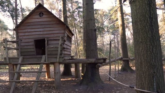 Наслаждайтесь очень красивым утренним лесом! Музыка для глубокого сна и восстановления сил! смотреть онлайн