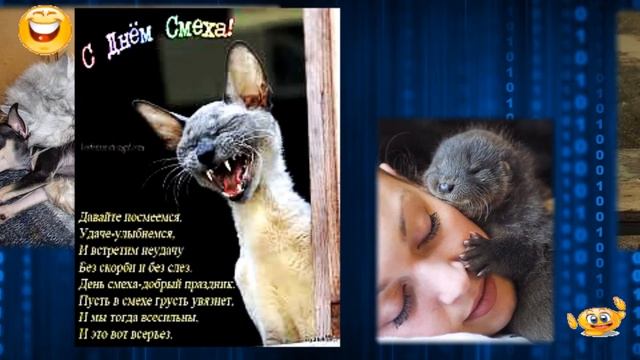 День смеха - первое апреля. 2 часть. смотреть онлайн