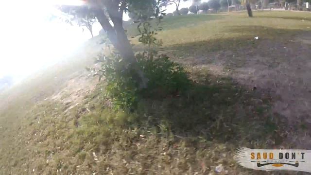 attack of the ninja branch смотреть онлайн