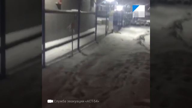 Новосибирск: песец на стройке ЛДС смотреть онлайн