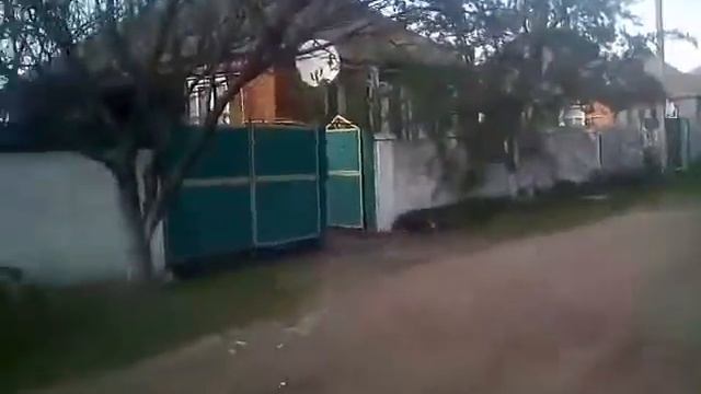 Дерев'я в Печенегах смотреть онлайн