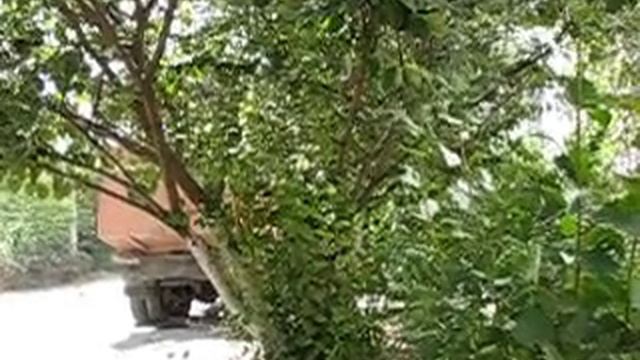 MVI_6970.AVI Откуда на Остряках берутся зловонные реки смотреть онлайн