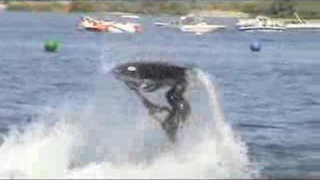 Класный трюк смотреть онлайн