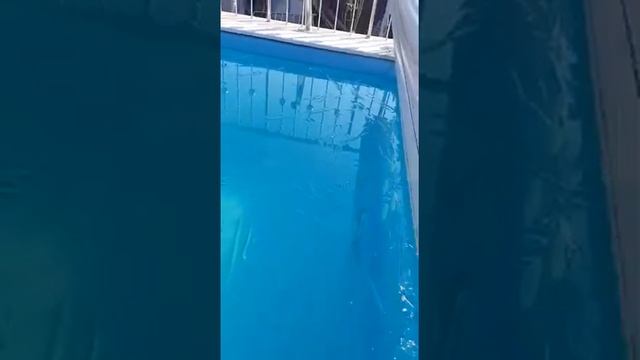 Ручное сматывающее устройство для бассейна смотреть онлайн
