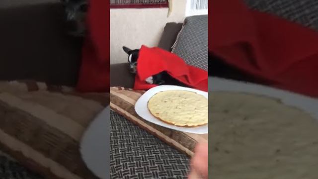 НЕ ХОЧУ НЕ БУДУ смотреть онлайн