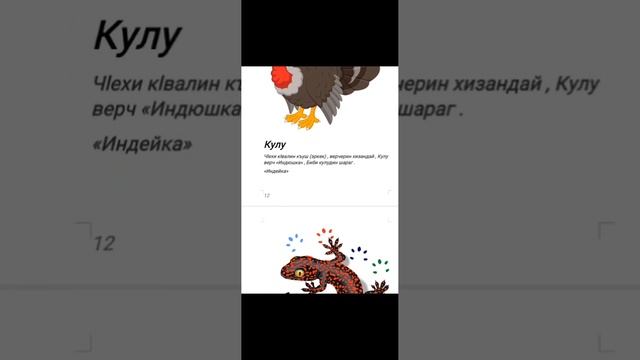 Названия животных на лезгинском языке смотреть онлайн