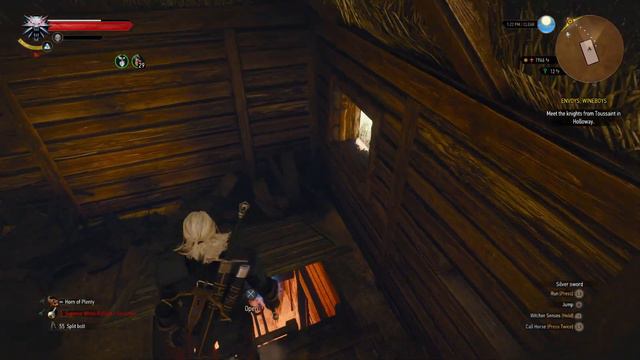 The Witcher 3 Wild Hunt Exploring Novigrad 3 #cdprojektred #witcher3 #gaming #gameplay #rpg #games смотреть онлайн