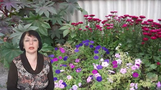 УДИВИТЕЛЬНЫЕ СВОЙСТВА И ПРИМЕНЕНИЕ КАСТОРОВОГО МАСЛА смотреть онлайн