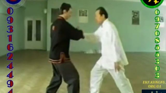 Гао Гуанвен Николай Матулевский, толкающие руки. Федерация кунгфу Украины