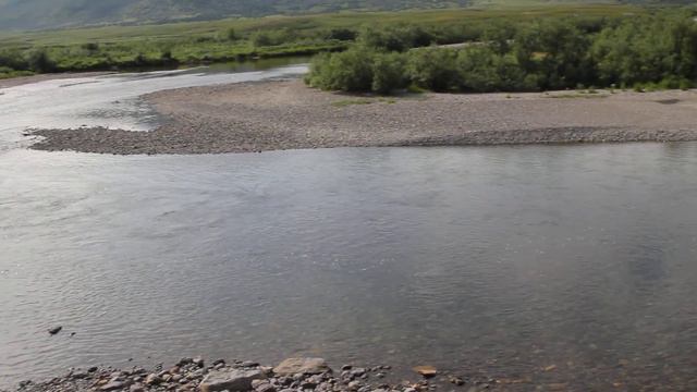 Река Большая Уса у впадения руч. Изъяшор. смотреть онлайн