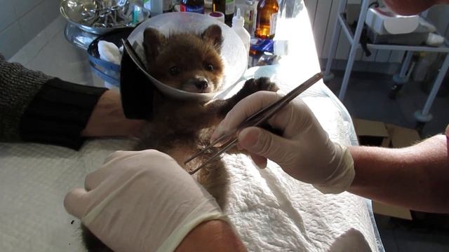 Обработка раны смотреть онлайн