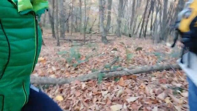 [VLOG]КАРАЧАЕВО-ЧЕРКЕССИЯ/ ГОРОДИЩЕ ЛЕСО-КЯФАРЬ/КЧР/ПРОГУЛКА ПО ГОРАМ смотреть онлайн