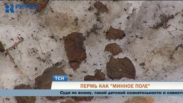 Весенние мины: собачьи экскременты заполонили улицы Перми смотреть онлайн