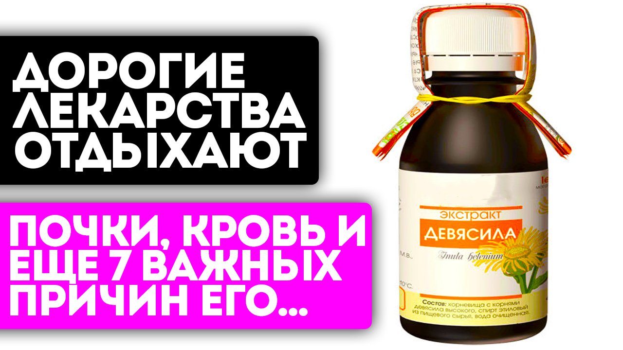 Пью девясил и оживаю! Суставы не болят, кровь стала жидкой, давление упало... Девясил смотреть онлайн