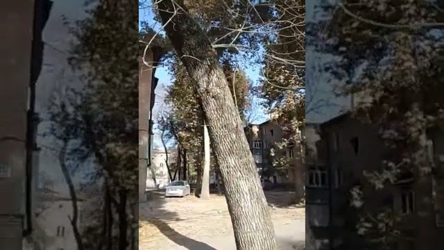 17. Рустам. Пешком по Душанбе. Маршрут - Жилмассив смотреть онлайн