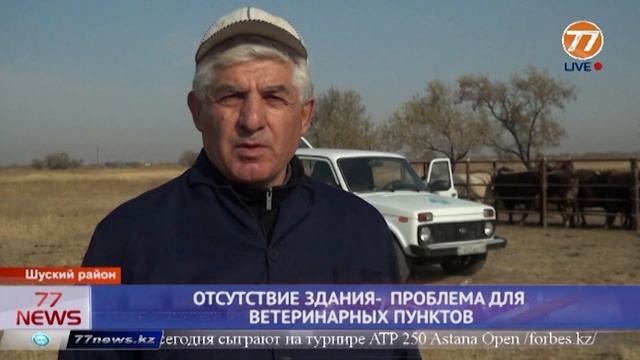 ОТСУТСТВИЕ ЗДАНИЯ ПРОБЛЕМА ДЛЯ ВЕТЕРИНАРНЫХ ПУНКТОВ смотреть онлайн