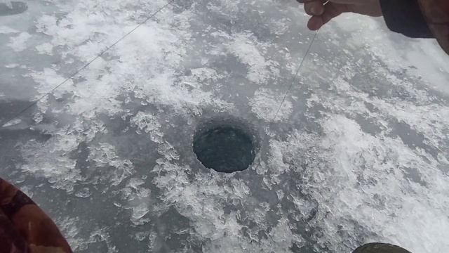 Рузское вдх! Предпоследний лёд! Плотва, окунь. смотреть онлайн