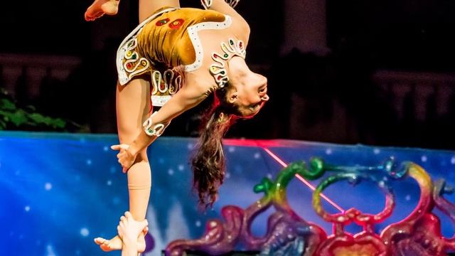 СОННИК акробат смотреть онлайн