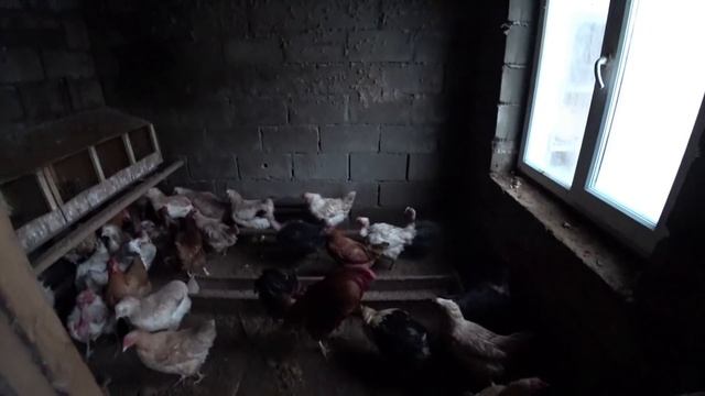 День памяти брата. Микела отгулялась. Грязи больше - снега меньше. Акция от 